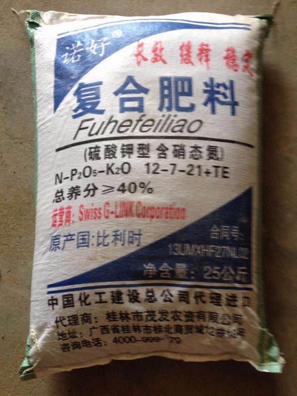 金愛霖